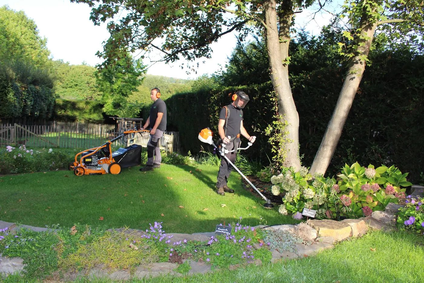 Tonte et coupe-bordure dans un jardin entretenu