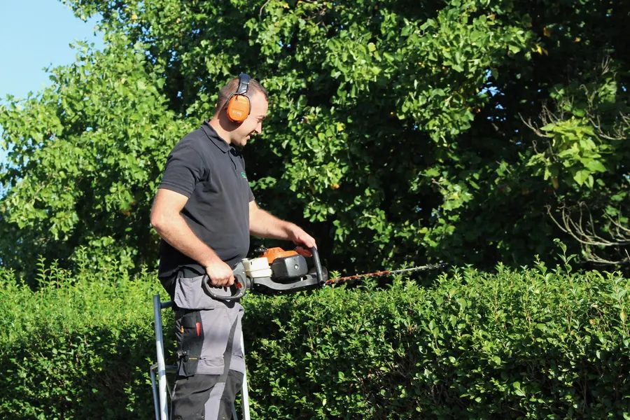 Taille-haie professionnel en action